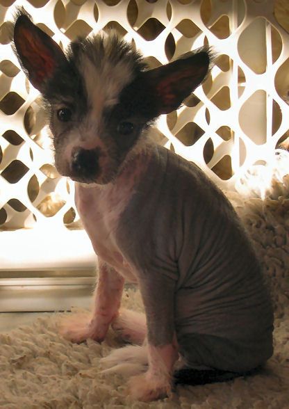 Belshaw's Lick Me All Over