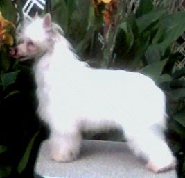 Kalan's For Your Eyes Only