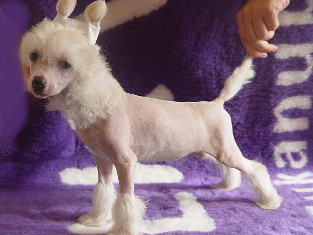 Eternally For Mady's Love