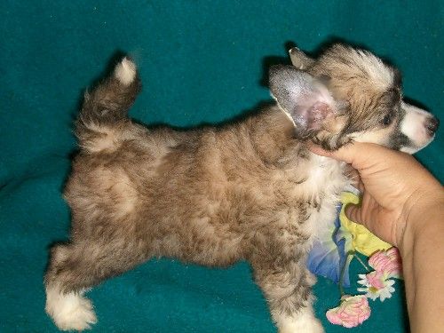 Spirit Stormin To Leewins