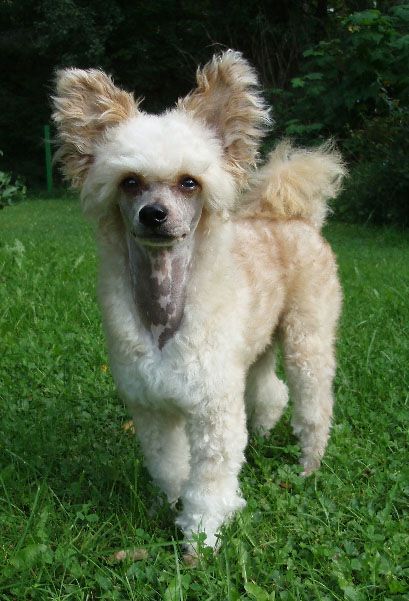 Kuminaaman Delivering Milo