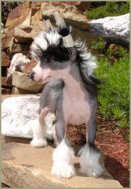 Saturday Night N'co.