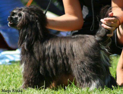 Only The Best My Number One Plexus