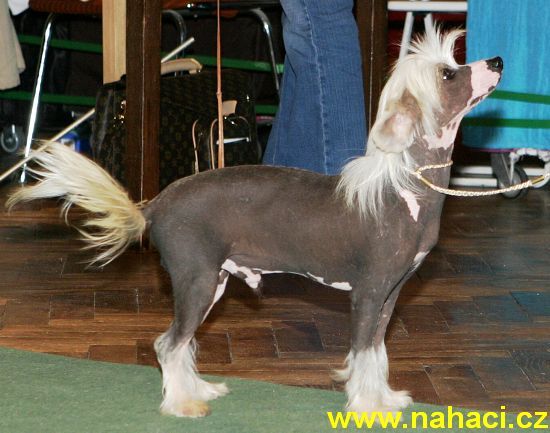 Ultra Top Od Chlpiku