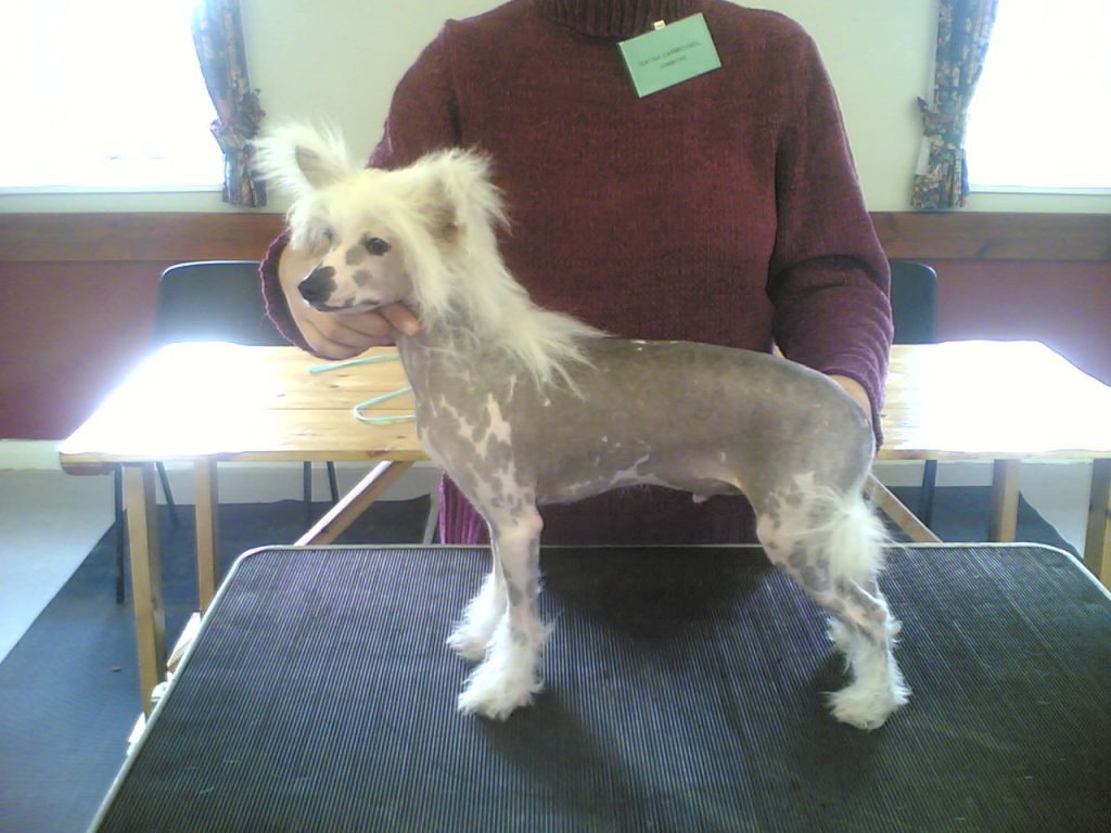 Sophijace Aint Kiddin