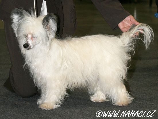 Ahiti de l'Arche de la Tuilerie