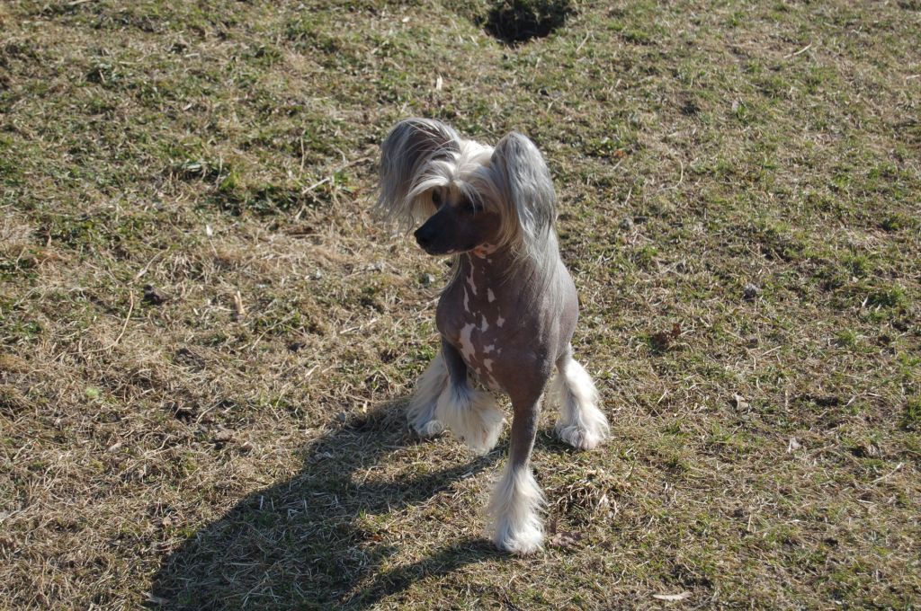 Princess Leia's New Kid In Town