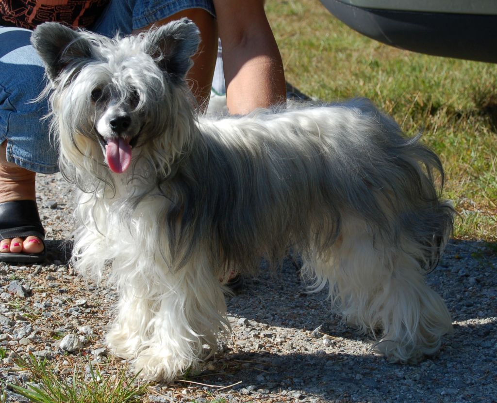 Princess Leia's Tequila Sunrise