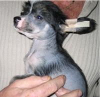 Mundiz Born In Bagis