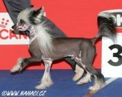 Easy Man Top Model De Rama