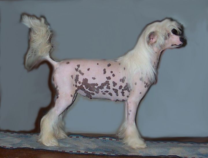 Spiritual In All The Rite Places