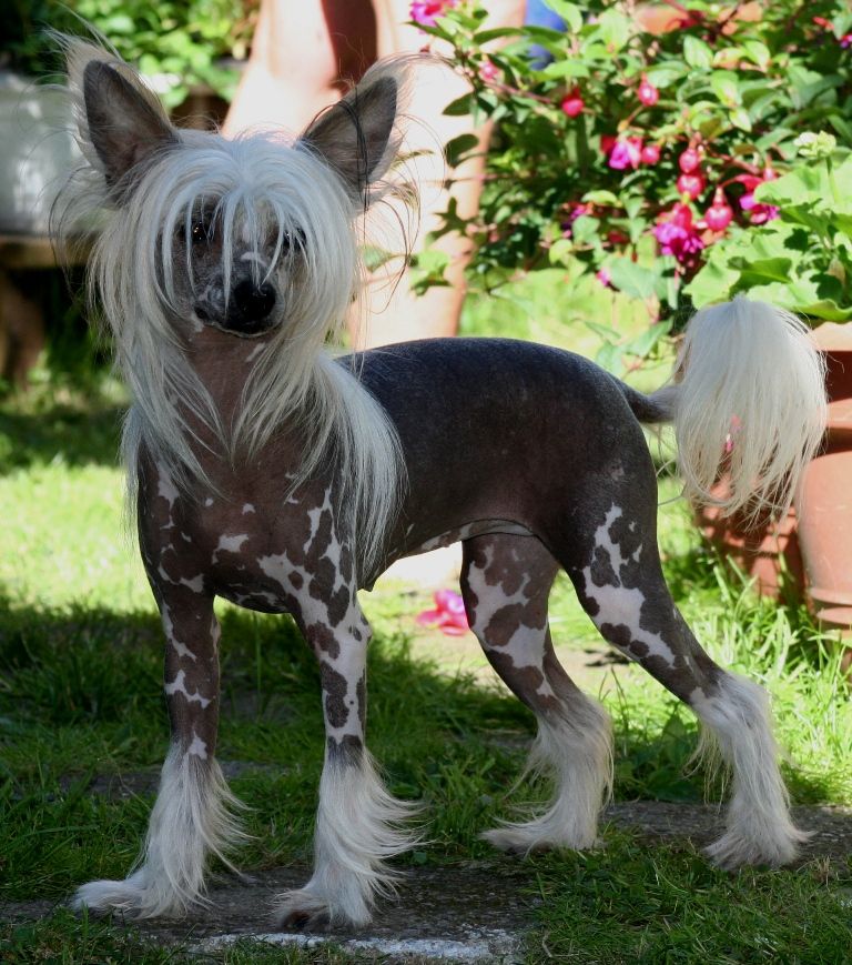 De La Mahafu's Alyssa De-Milano