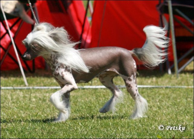 De La Mahafu's Madonna D'e