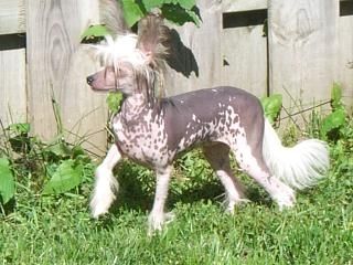 Gardine Baby Binki Mozanbridge