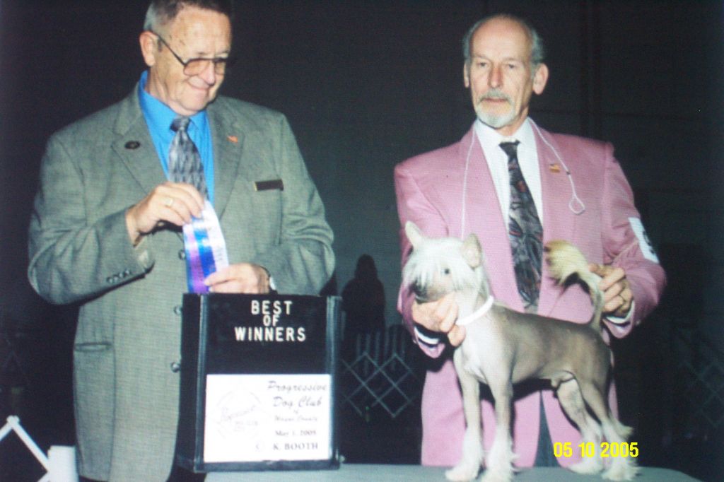 Orchid Blus Dizzy Dollies Rich