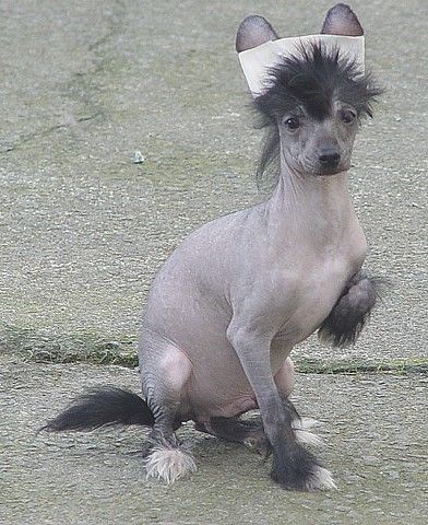 Edgemont For Mady's Love