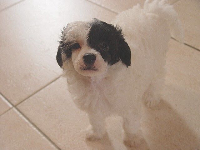 Eresistibl For Mady's Love