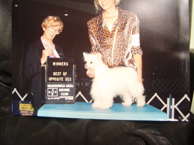 Jahan Gasconade Lemonade