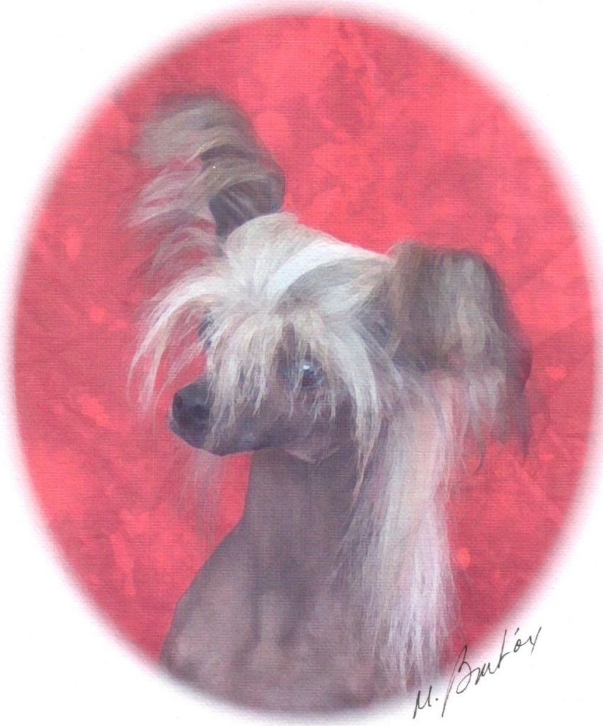 Bennett's Deja Blue N'Howe