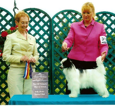  Kalypso's Polar Express