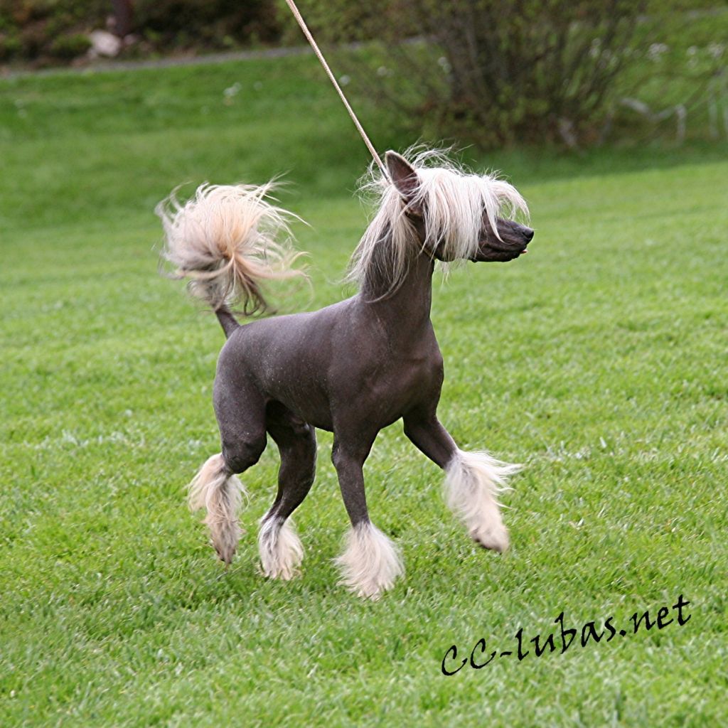 Rimabra's Lean on Me