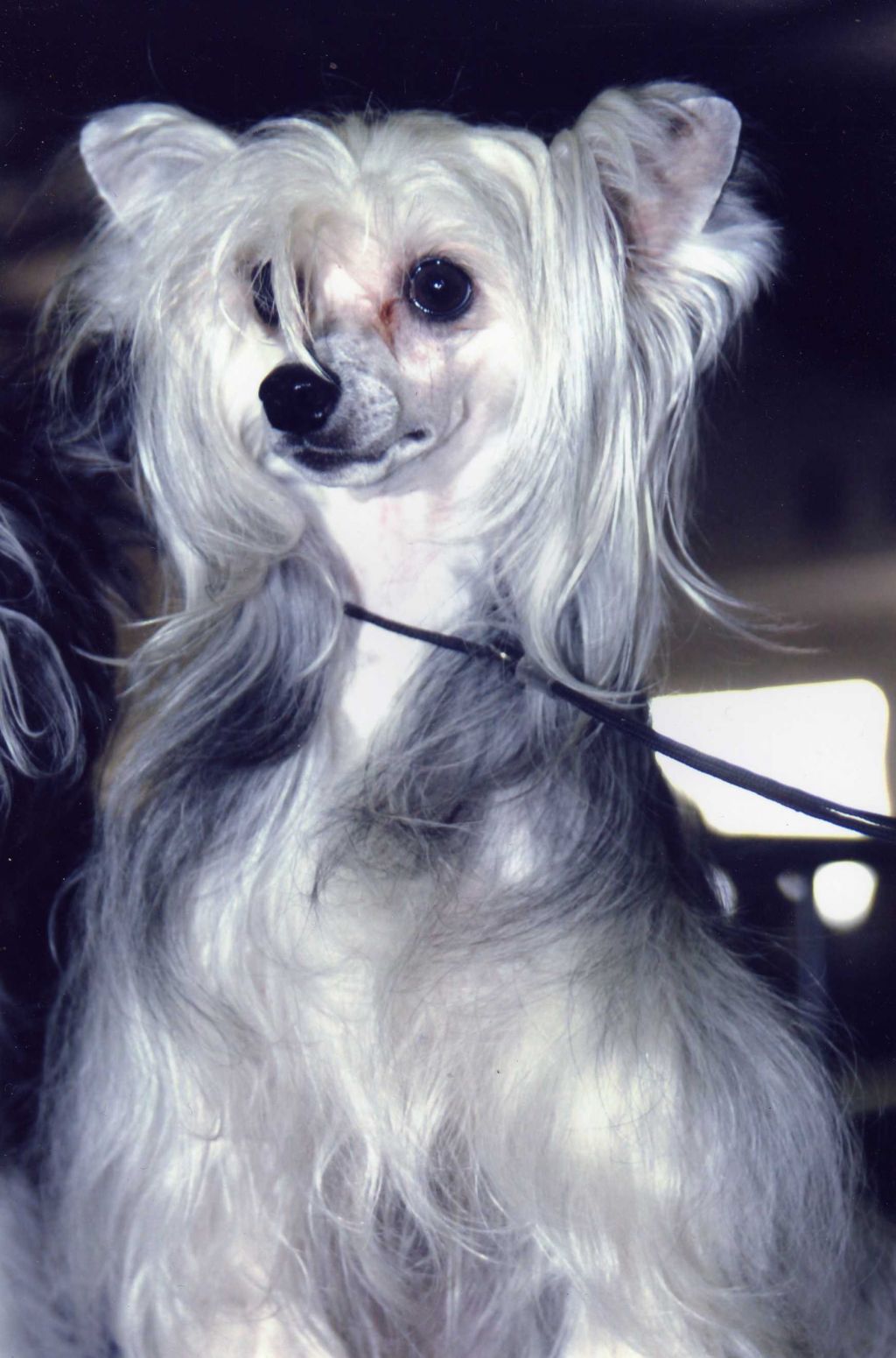 E'Noemie For Mady's Love