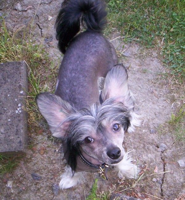 Eclipse For Mady's Love