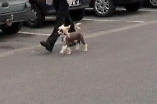 Elton John Little Champs