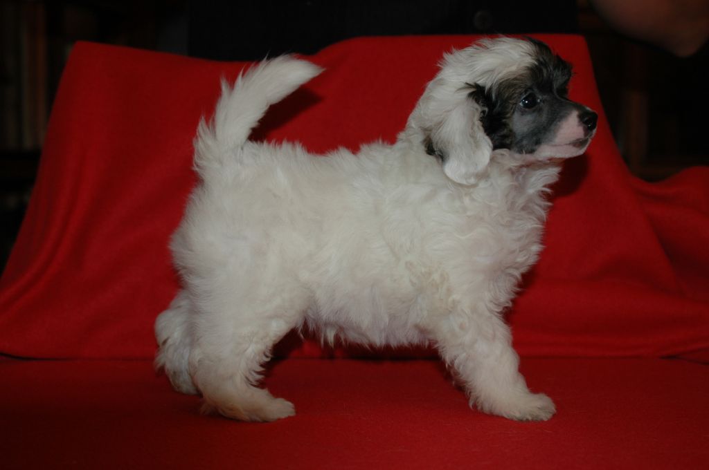 Easy Going Little Champs