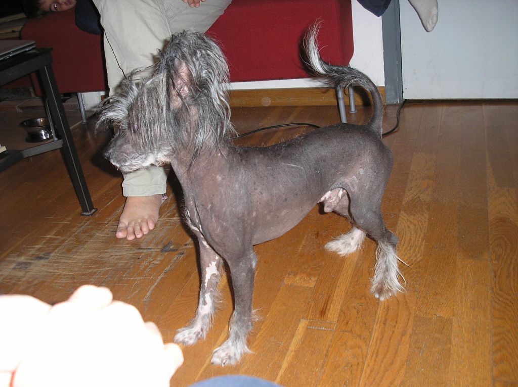 Siphyong du Pays Gabaye