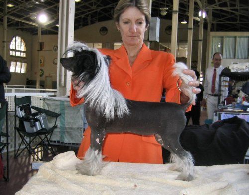 Mohawk Don't Funk With Me