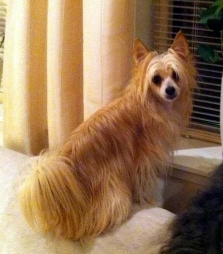 Lovinda's Astounding Aicko