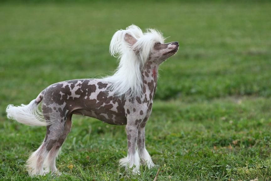 Je m'appelle Julie de GabriTho