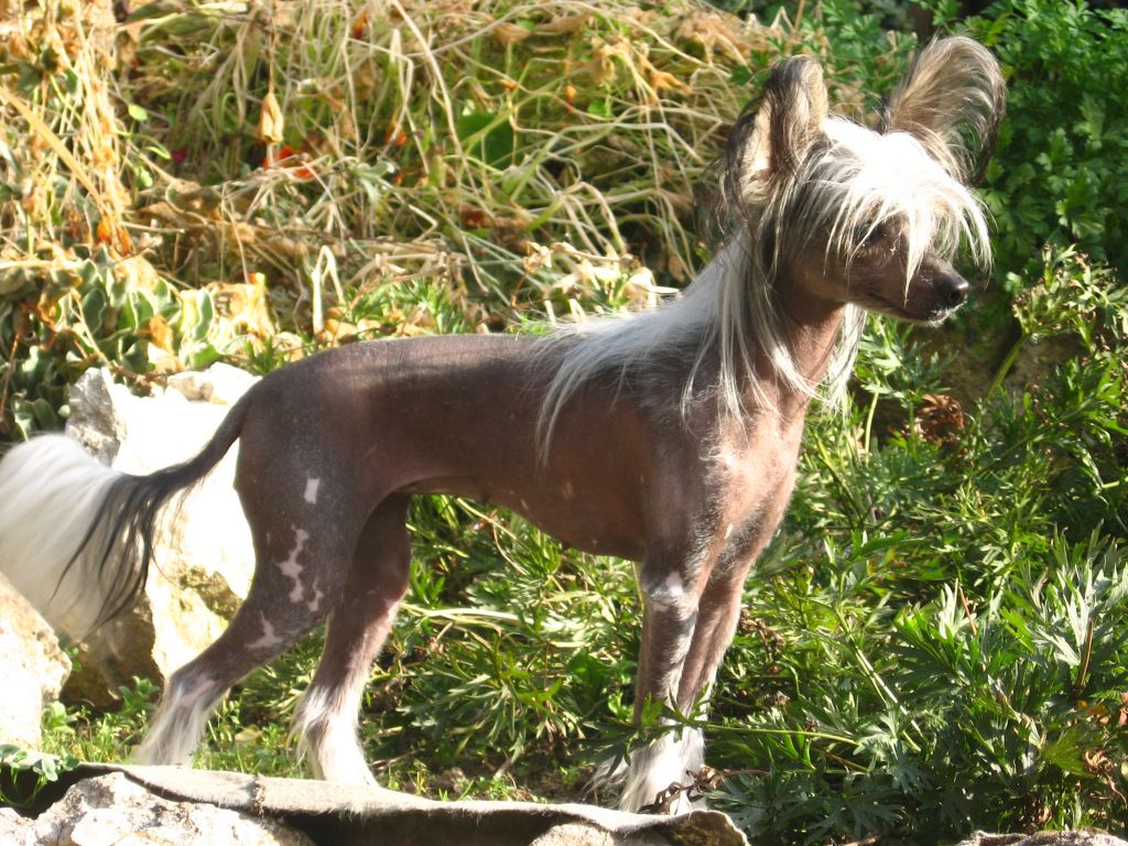 Tusia Kozlówkowy Wzgórek