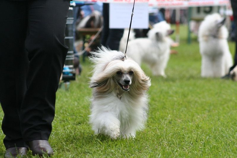 Cuddle Me of Angel's Legacy