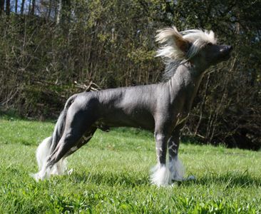 Lu de GabriTho Poarott