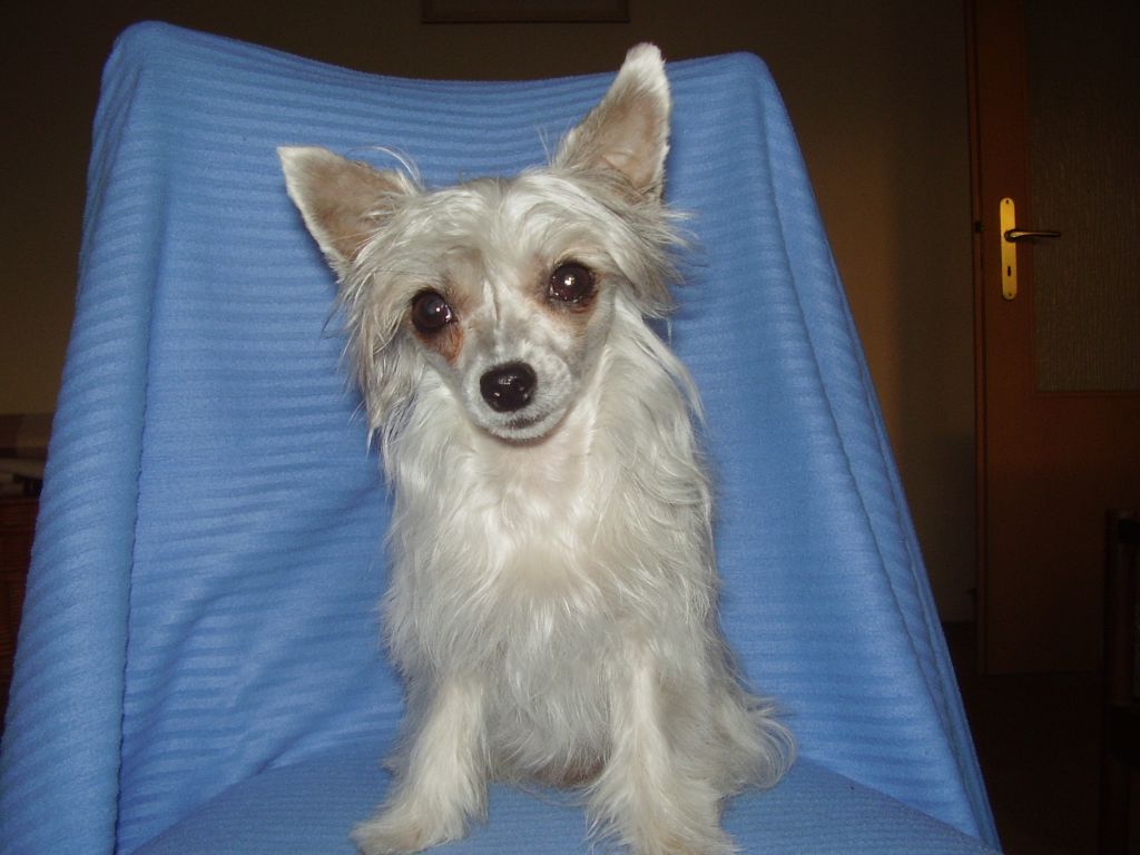 Van E.Jo,Van Donnatella