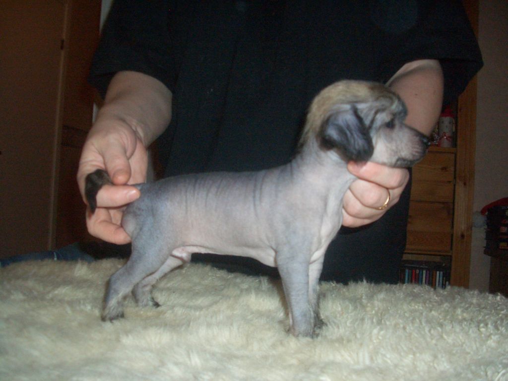 Cute and Crazy Baltazar