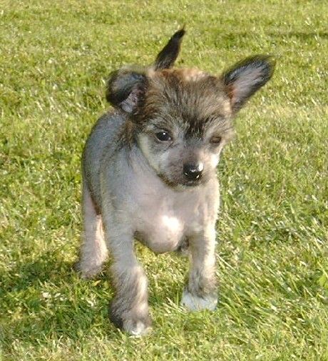 Sirocco Haute Couture