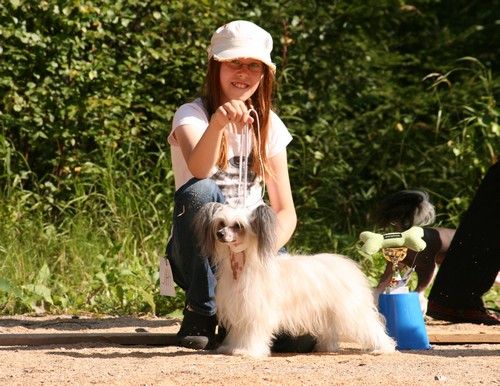 Crestwood On All Fours