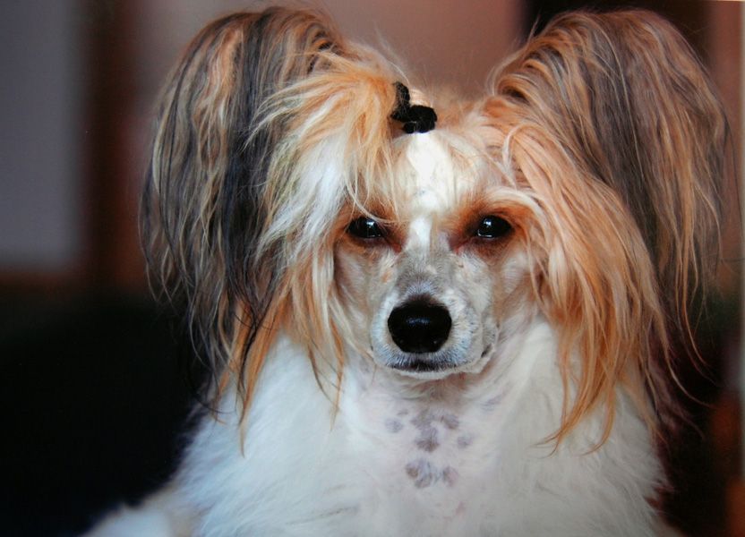 Joyway's Only The Lonely