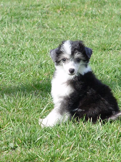 Fanny For Mady's Love