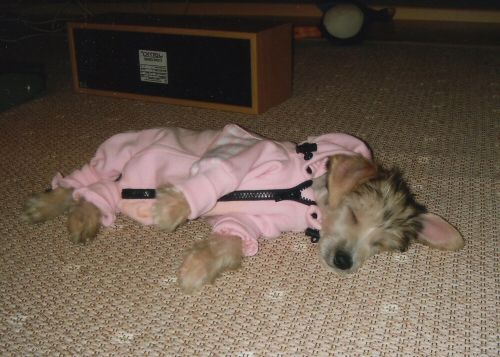 Sun Dan Chocolate Coffee