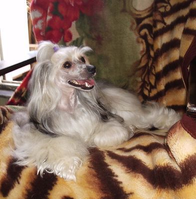 Milochka  iz Jablonevogo Sada