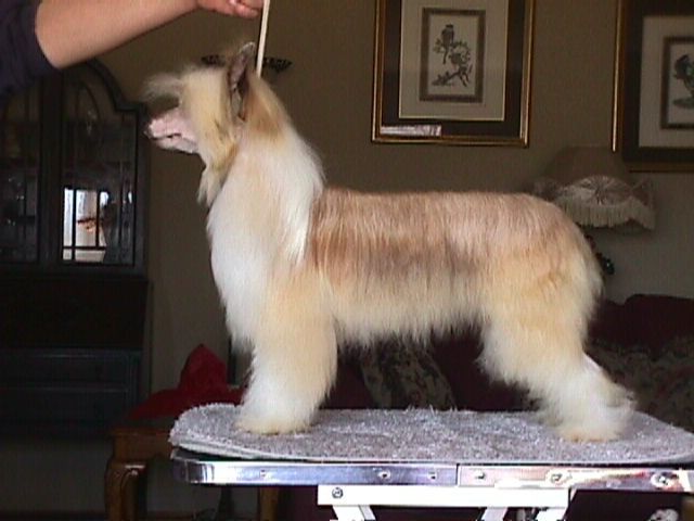 Whisperlane Annie get your Gun