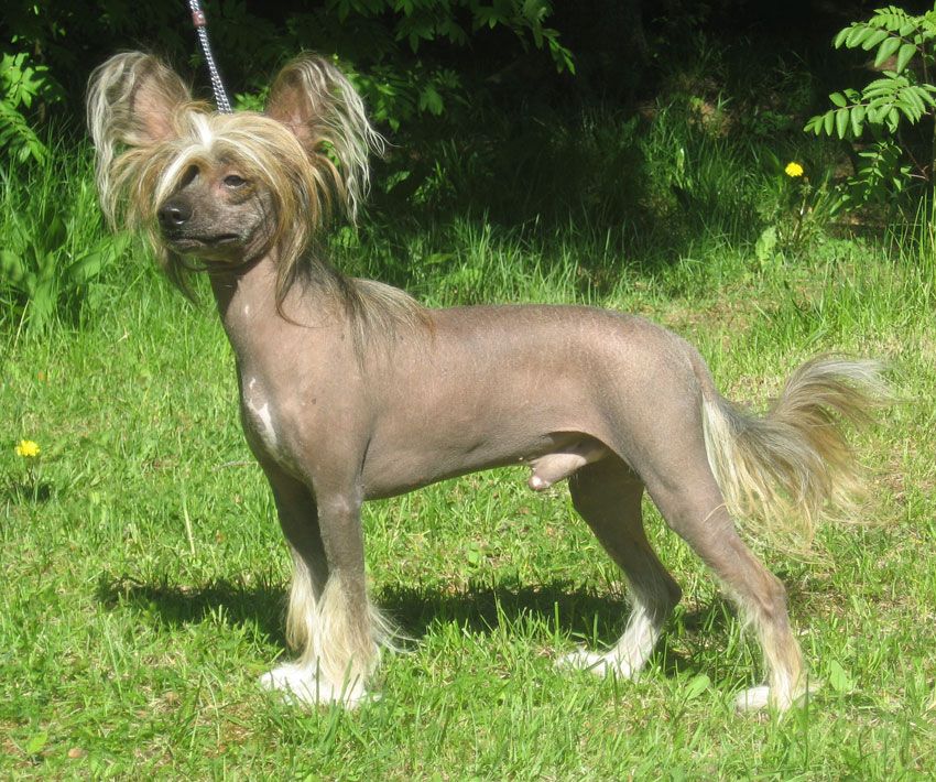 Stormblåstens Mystery Date