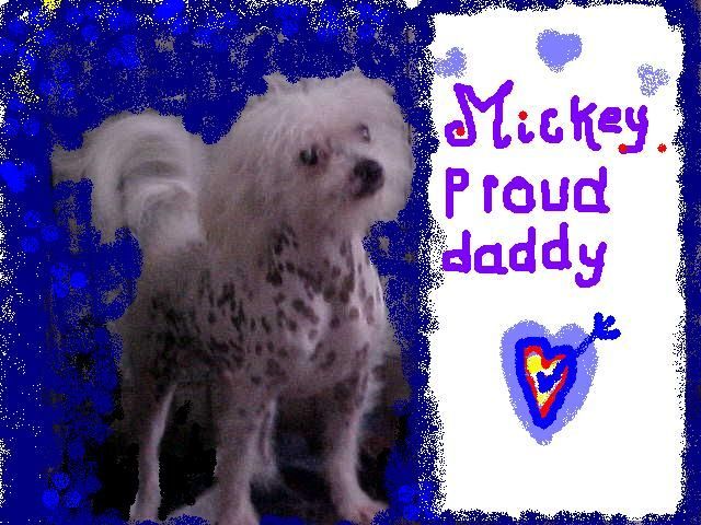 Top-Hatz Modern Make-Up Calls