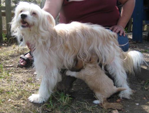 Biarbo's Chasing The Rainbow