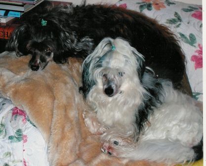 Teufelchen Yumanji-Jill