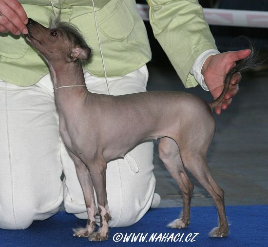 Chantal z Jasne Hvezdy 